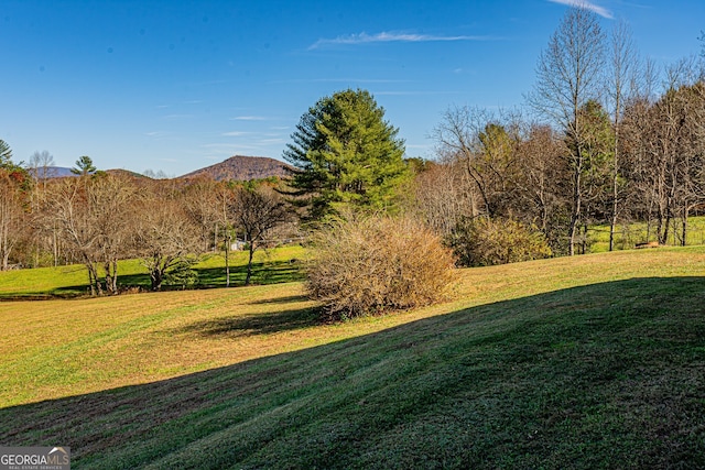 view of yard featuring a mountain view