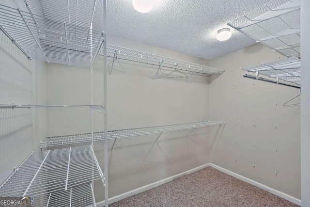 spacious closet with carpet floors