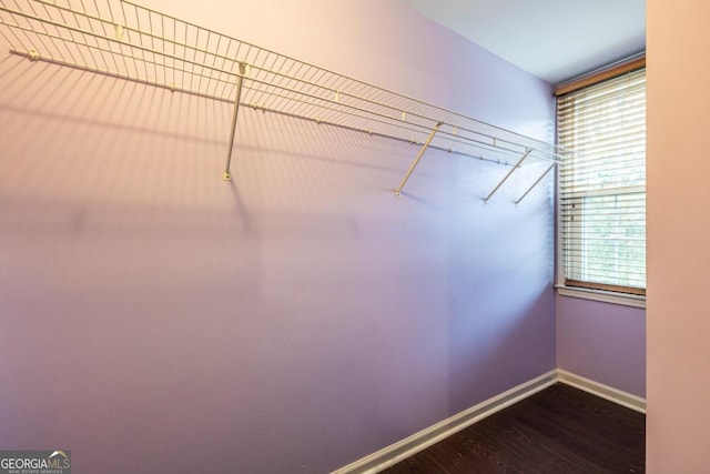 walk in closet featuring dark wood-type flooring