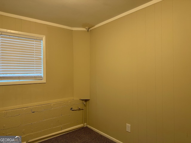 spare room featuring wooden walls, carpet floors, and ornamental molding