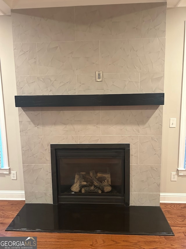 details featuring a fireplace and wood-type flooring