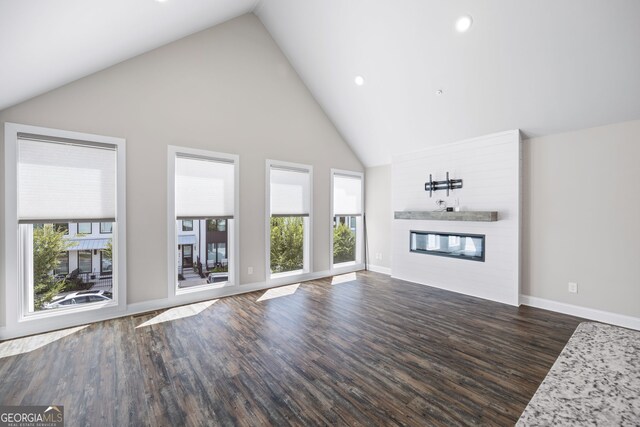 living room featuring high vaulted ceiling and dark wood-type flooring