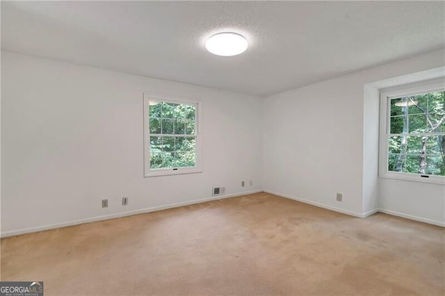 empty room featuring light carpet and a healthy amount of sunlight