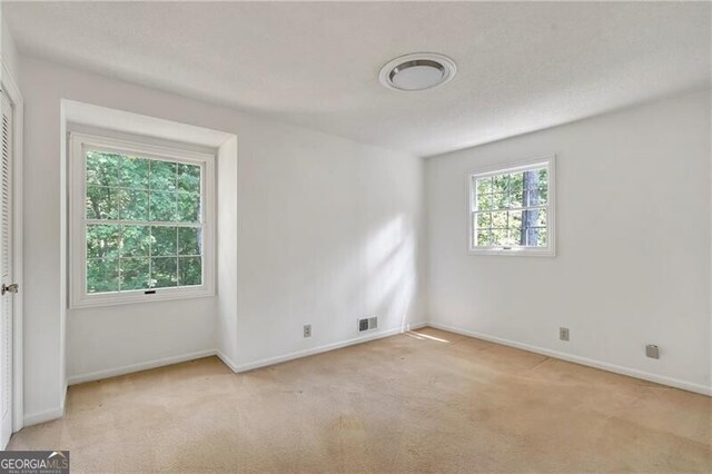 carpeted empty room featuring a healthy amount of sunlight