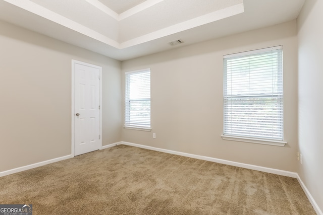 carpeted spare room featuring plenty of natural light