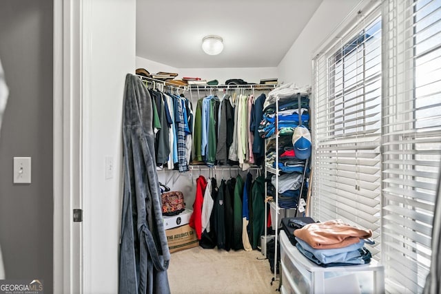 walk in closet featuring carpet flooring