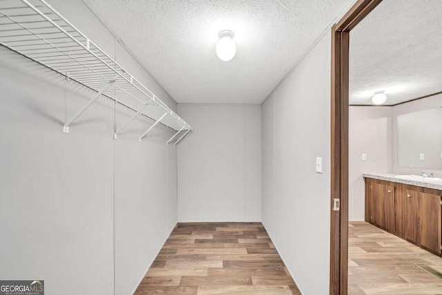 spacious closet with light hardwood / wood-style flooring and sink