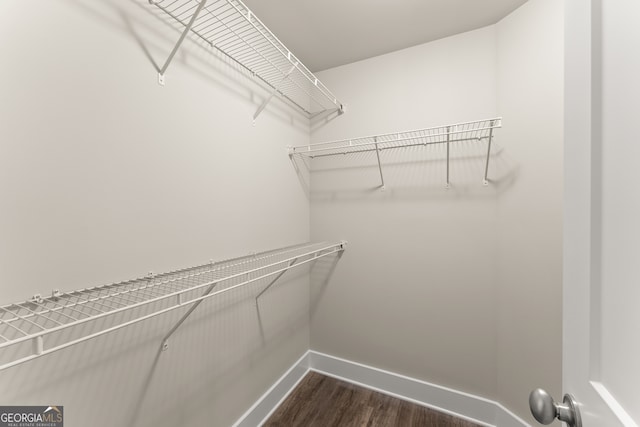 spacious closet featuring dark hardwood / wood-style floors