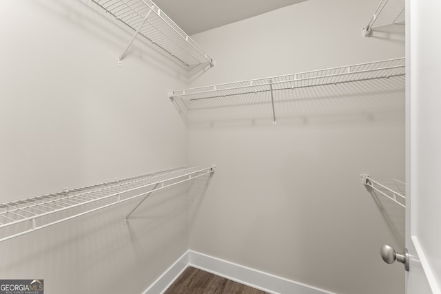 spacious closet with dark wood-type flooring