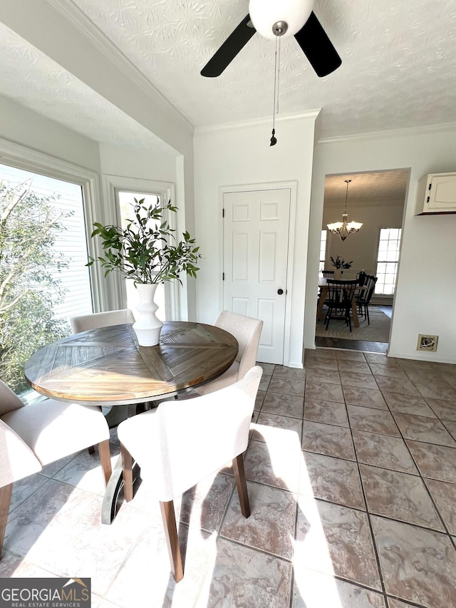 dining area with crown molding, a healthy amount of sunlight, and a textured ceiling