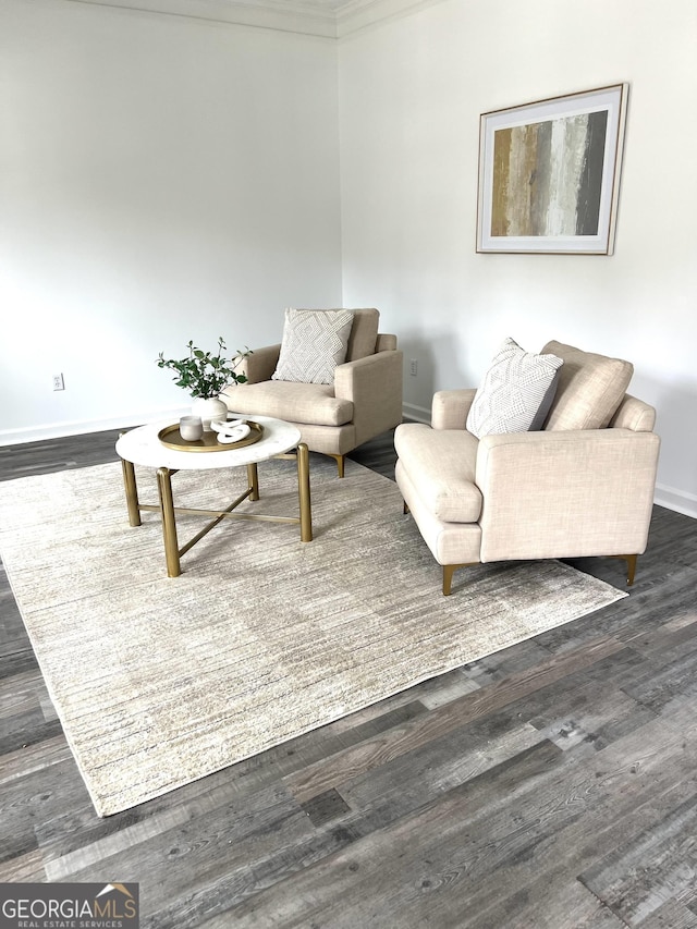 living room featuring dark wood-type flooring