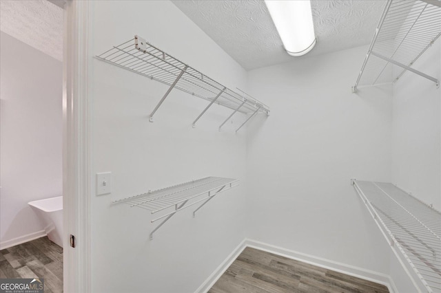 walk in closet with dark wood-type flooring