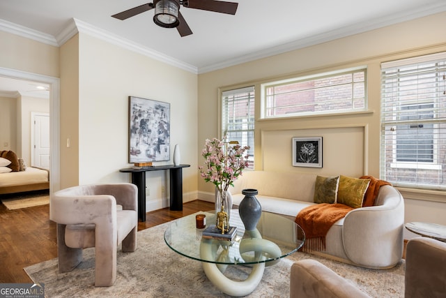 living area featuring ceiling fan, ornamental molding, and dark hardwood / wood-style floors