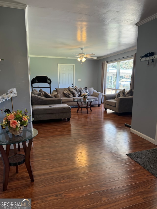 living room featuring dark hardwood / wood-style flooring, ceiling fan, and ornamental molding