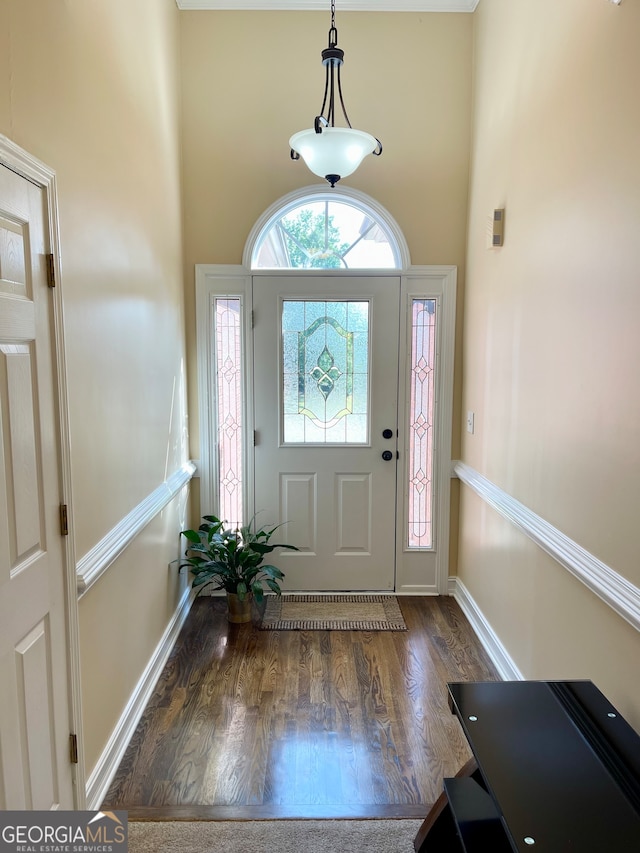 entryway with a towering ceiling and dark hardwood / wood-style flooring