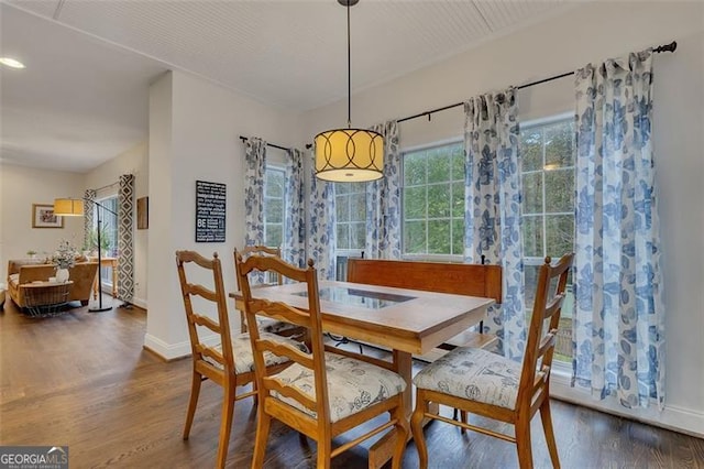 dining room with wood-type flooring