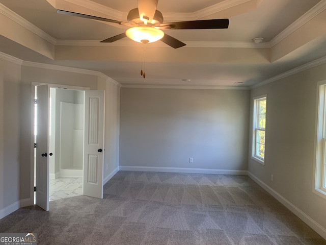 spare room with carpet, a raised ceiling, ceiling fan, and ornamental molding