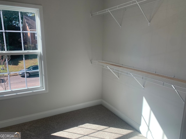 spacious closet featuring carpet flooring