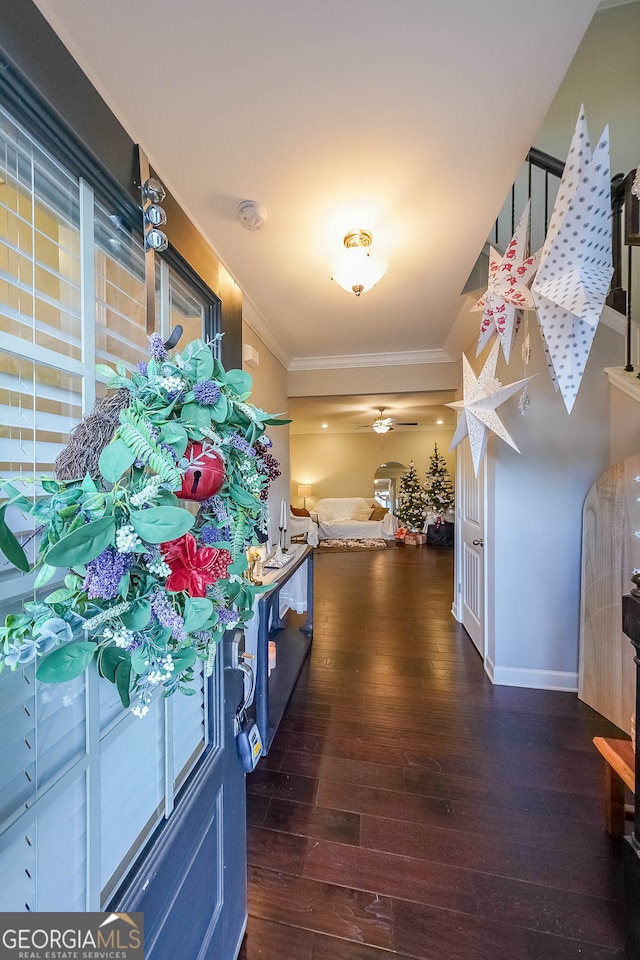 hallway with ornamental molding and dark wood-type flooring