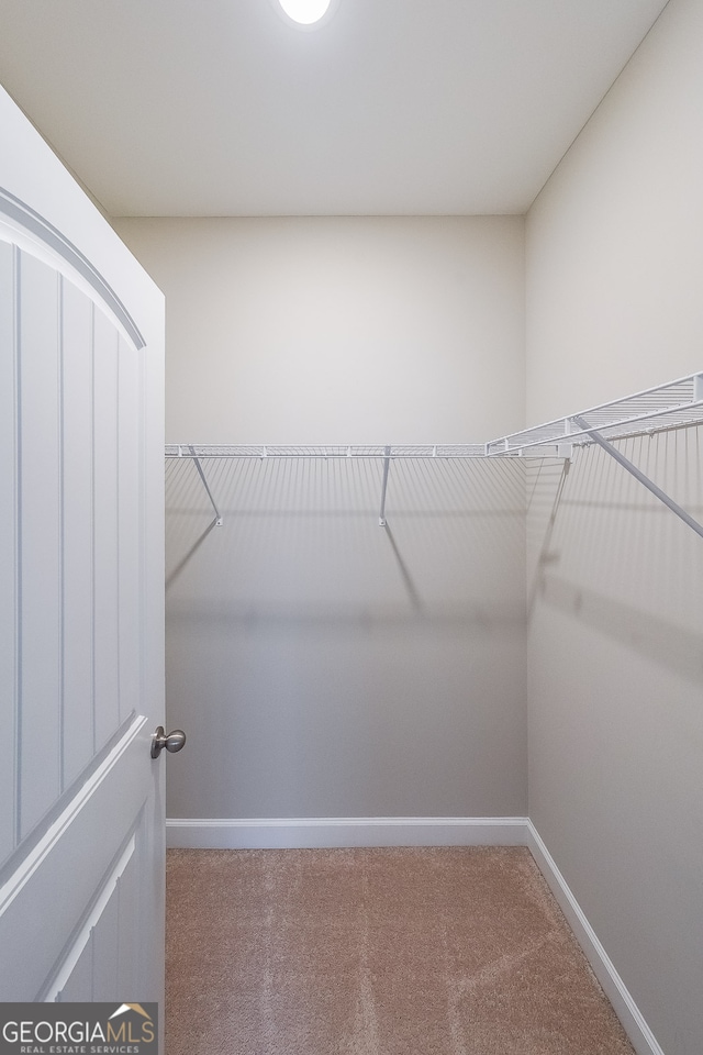 spacious closet featuring carpet floors