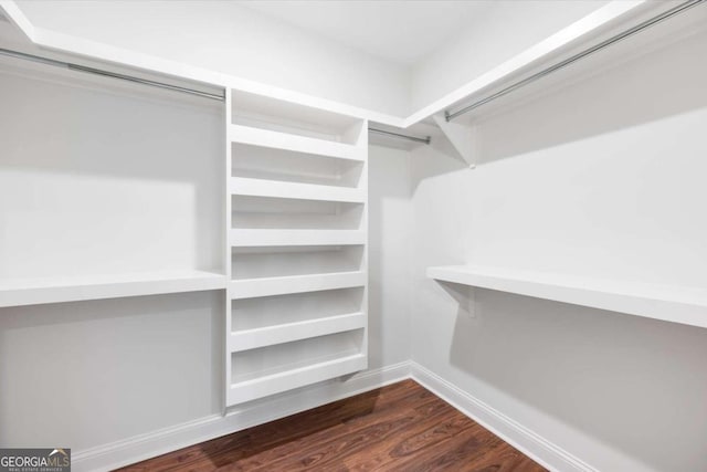 walk in closet with dark hardwood / wood-style flooring