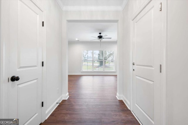 hall with dark hardwood / wood-style flooring and crown molding