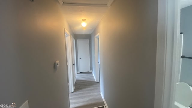 hallway featuring light hardwood / wood-style flooring