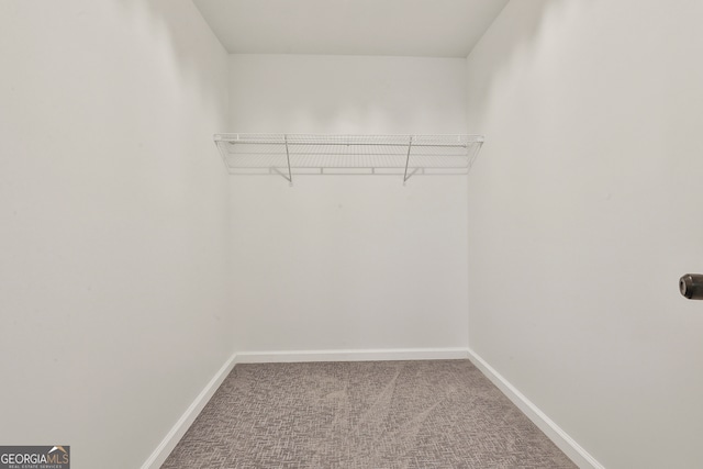 walk in closet with carpet flooring