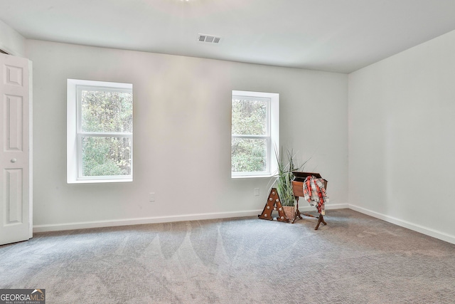 carpeted spare room featuring a wealth of natural light