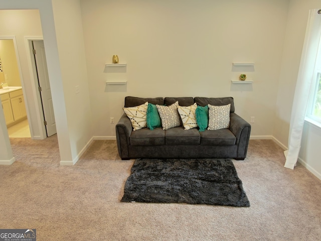 living room featuring light carpet