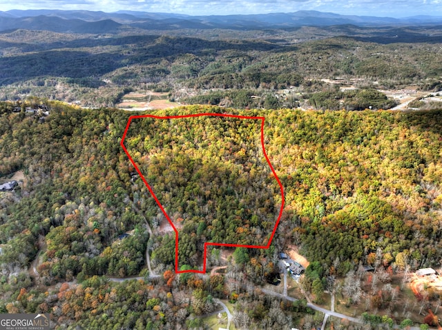 Listing photo 2 for 23ACRES Weaver Creek Rd, Blue Ridge GA 30513