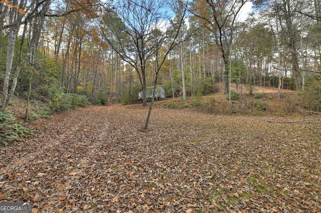 Listing photo 3 for 23ACRES Weaver Creek Rd, Blue Ridge GA 30513