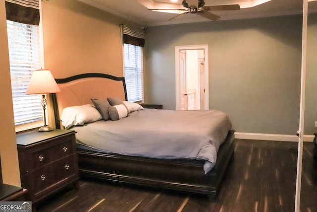 bedroom featuring multiple windows, dark hardwood / wood-style floors, and ceiling fan