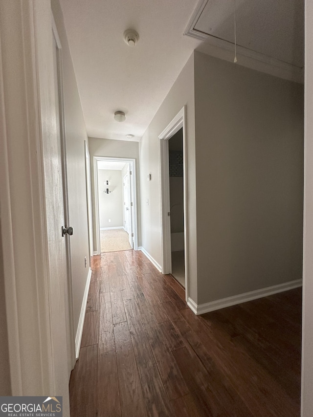 hall featuring dark hardwood / wood-style floors