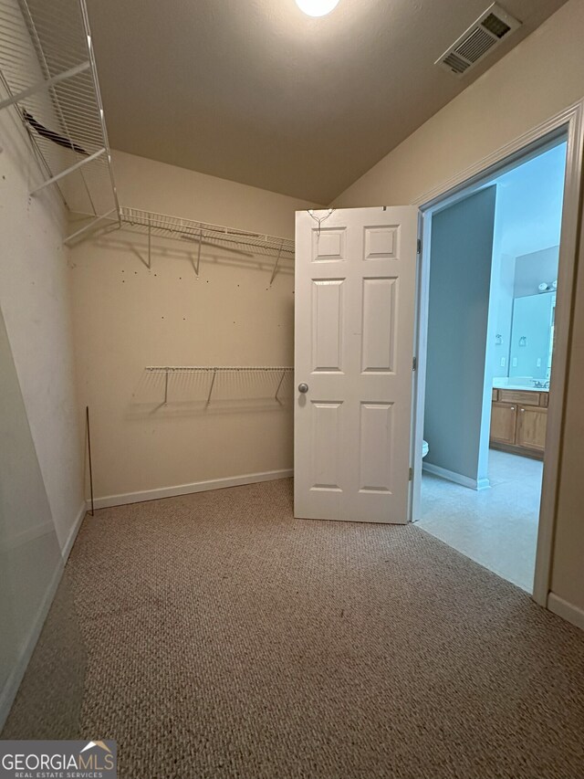 spacious closet with carpet floors