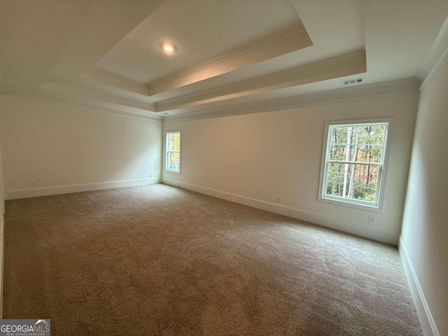 unfurnished room with a raised ceiling, a wealth of natural light, and crown molding