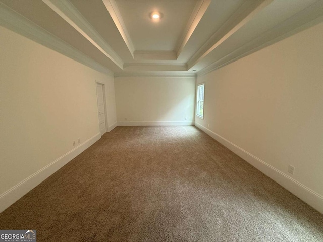 empty room with carpet flooring, ornamental molding, and a tray ceiling