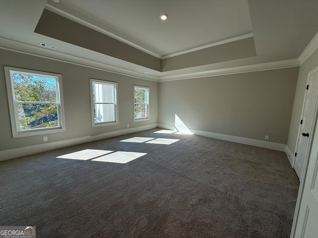 carpeted empty room with a wealth of natural light and ornamental molding