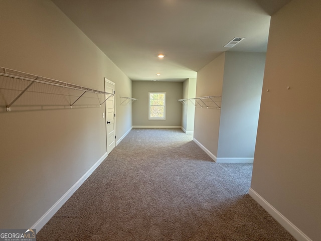 walk in closet with light colored carpet