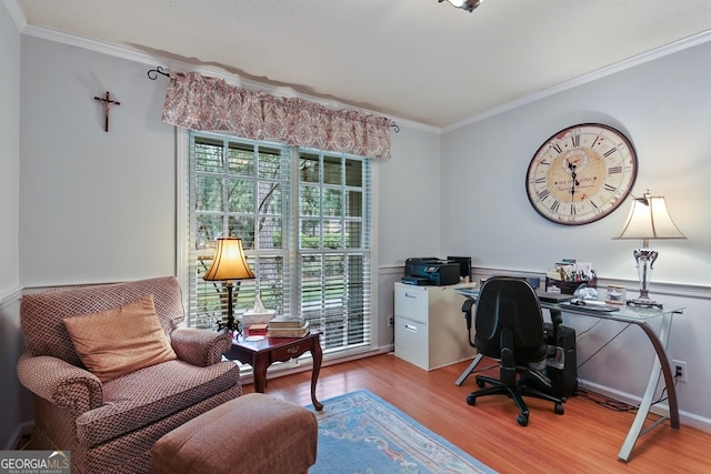 office with ornamental molding and light hardwood / wood-style flooring