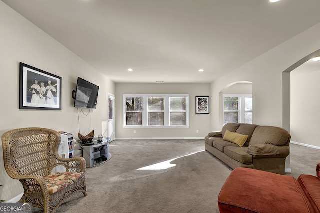 living room with carpet and plenty of natural light