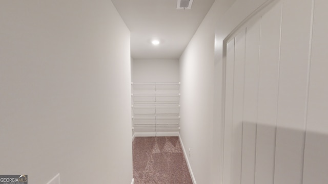 spacious closet with carpet flooring