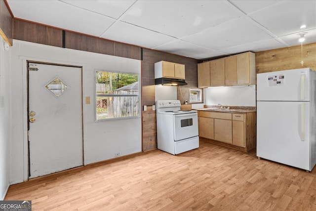 kitchen featuring wooden walls, light hardwood / wood-style flooring, white appliances, and sink