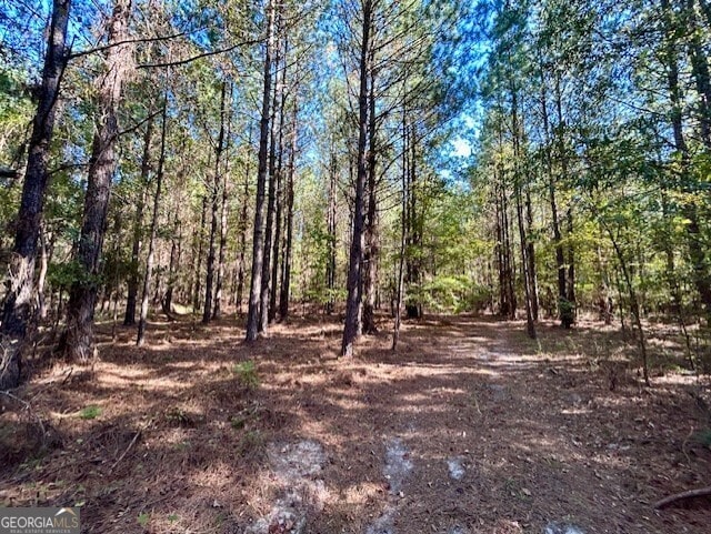 000 Elam Church Rd, Warrenton GA, 30828 land for sale