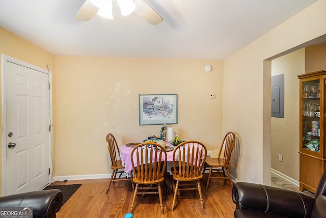 dining space with ceiling fan, electric panel, and light hardwood / wood-style flooring