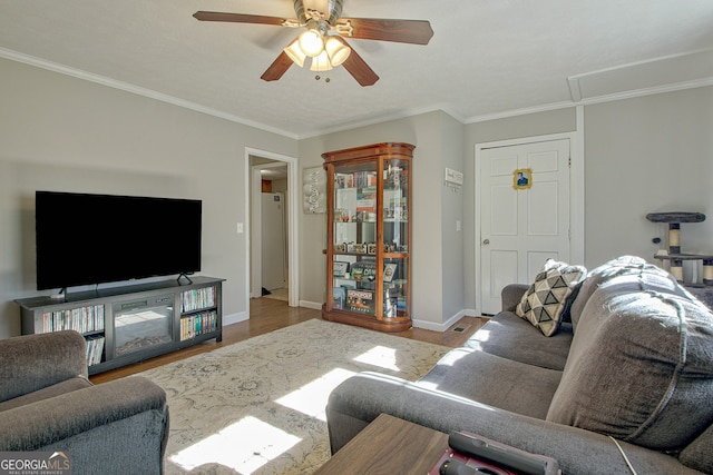 living room featuring ceiling fan, crown molding, and light wood-type flooring