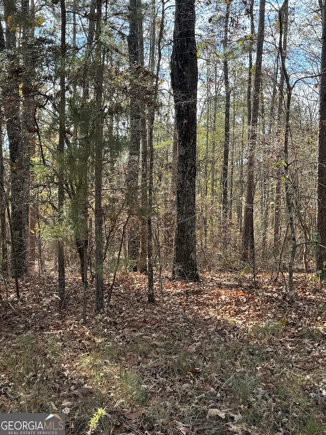 0 Gobbler Creek Rd, Delta AL, 36258 land for sale