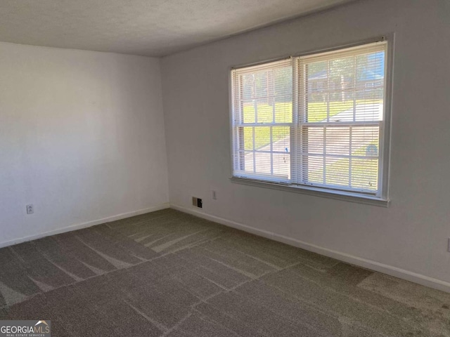 spare room with carpet flooring, a textured ceiling, and a healthy amount of sunlight