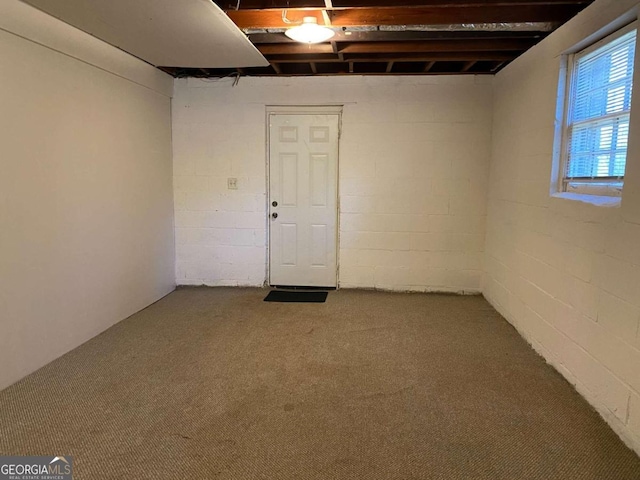 basement featuring carpet