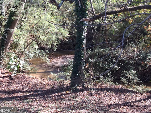 view of local wilderness